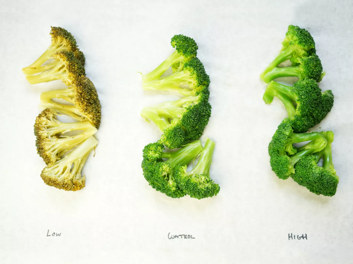 Rivoluziona la tua cucina di verdure con questo semplice trucco 4 Broccoli cooked with different PH balances, labeled Low, Control, and High on parchment paper